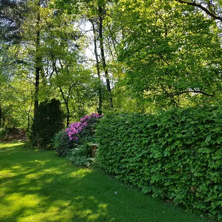 Knusse Natuur Bungalow Hartje Veluwe Otterlo Exterior photo