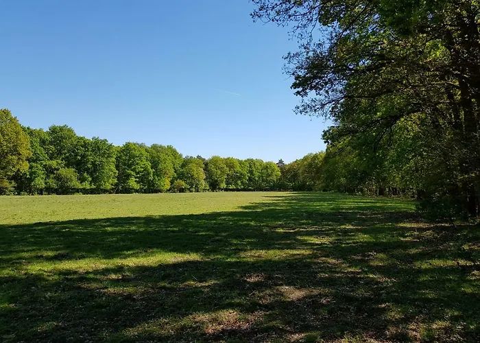 Knusse Natuur Bungalow Hartje Veluwe