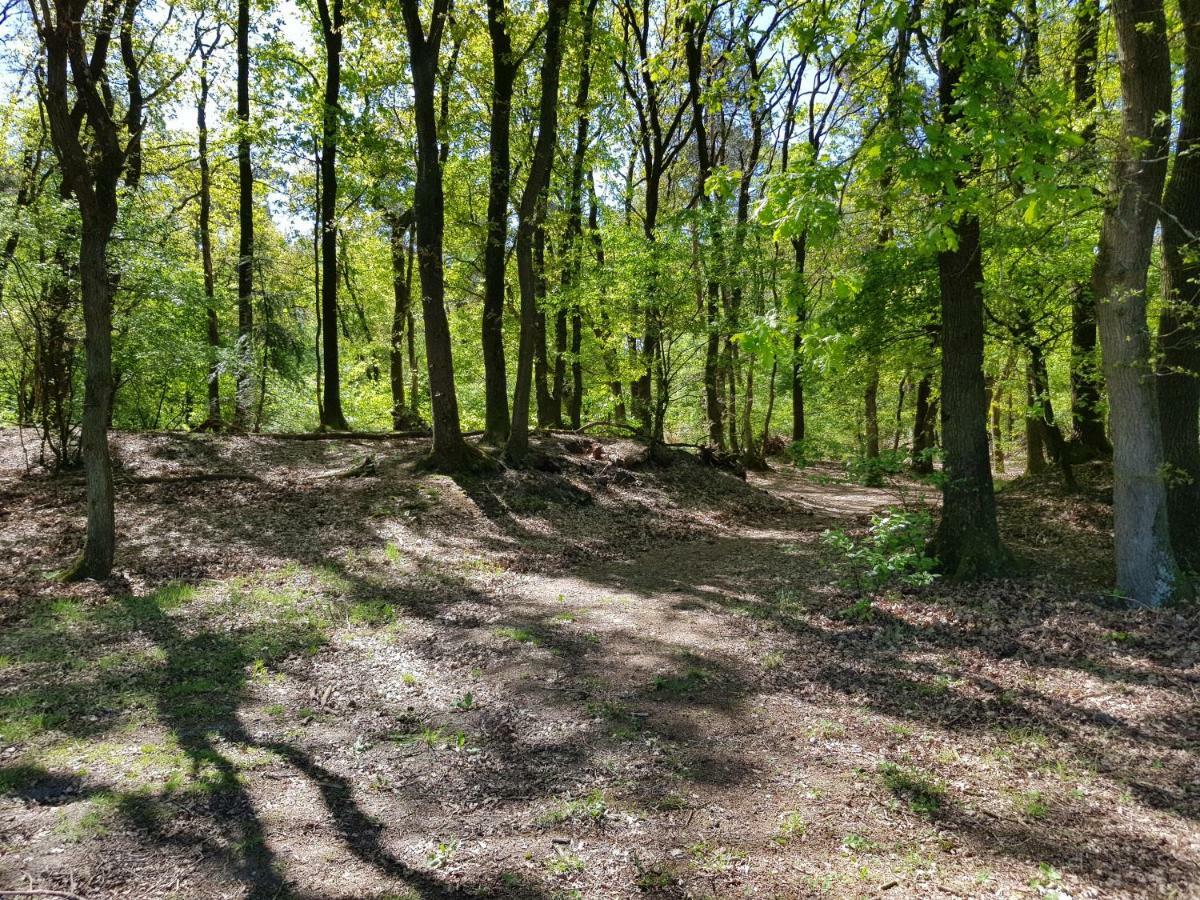Appartement Knusse Hartje Veluwe *